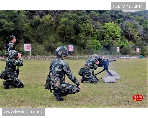 成都攀岩队战术表现数据分析揭示训练与比赛的关键因素