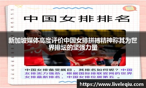 新加坡媒体高度评价中国女排拼搏精神称其为世界排坛的坚强力量