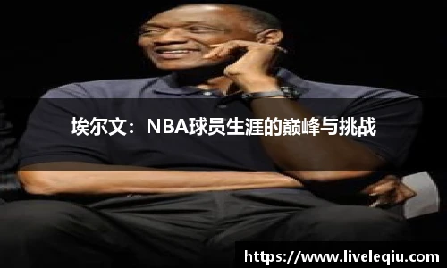 埃尔文：NBA球员生涯的巅峰与挑战