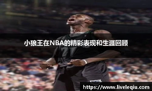 小狼王在NBA的精彩表现和生涯回顾