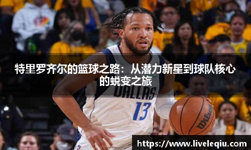 乐球体育直播