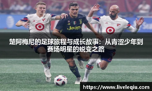 乐球体育直播间