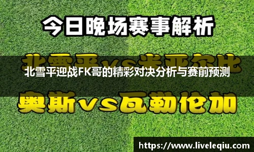 北雪平迎战FK哥的精彩对决分析与赛前预测