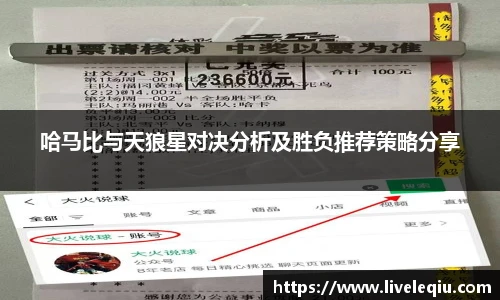 哈马比与天狼星对决分析及胜负推荐策略分享