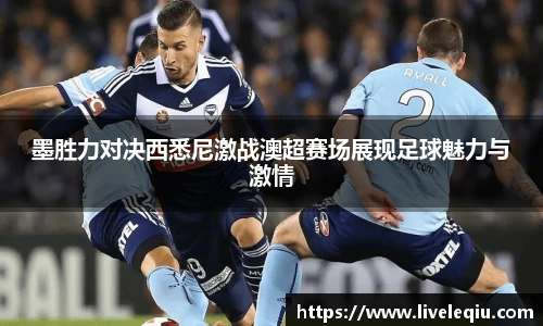 乐球体育直播间